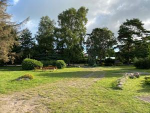 einen Park mit einem Picknicktisch im Gras in der Unterkunft Tom's Hof in Dierhagen