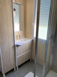 ein Bad mit einer Dusche, einem Waschbecken und einem Spiegel in der Unterkunft Chambre d'hôtes Champagne Laval Louïs in CumiÃ¨res