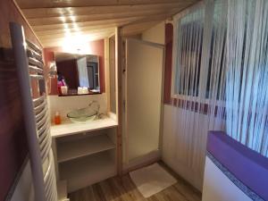 a small bathroom with a sink and a mirror at Le Moulin de la Fortie, maison d'hôtes in Viscomtat