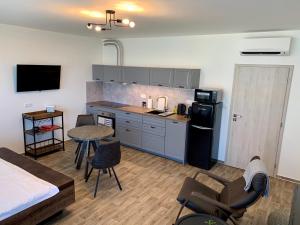 Kuchyň nebo kuchyňský kout v ubytování Apartmán C16 Mikulov