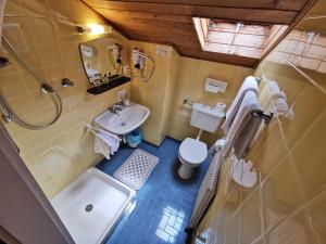 un bagno con lavandino, wc e doccia di Active B&B Prairerhof a Scena