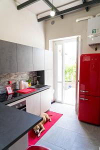 a dog laying on a red rug in a kitchen at La Reggia di Famiglia in Venaria Reale