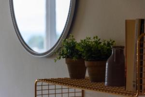 two plants sitting on a shelf in front of a mirror at Irini Apartments in Kavála