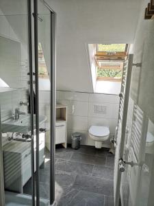 a bathroom with a toilet and a sink and a skylight at Ferienwohnung "Weinbergblick" im Winzerdorf in Leinsweiler