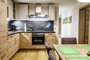 Kuchyňa alebo kuchynka v ubytovaní Haus Löger Apartments Pyhrn Priel