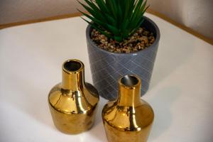 two gold vases sitting on a table next to a plant at Irini Apartments in Kavála