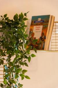 a plant sitting on a shelf next to a book at Irini Apartments in Kavála
