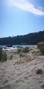 a beach with sand and plants on it at Apartment in Varna City