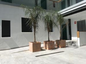 Zdjęcie z galerii obiektu Casita cerca de la playa decorada con amor w mieście Tarifa