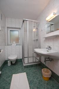 Un baño con ducha, lavabo e inodoro. en Appartment Lärchenalm, en Sankt Martin am Tennengebirge 12 fotos más