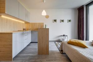 Kuchyň nebo kuchyňský kout v ubytování Homy Apartments
