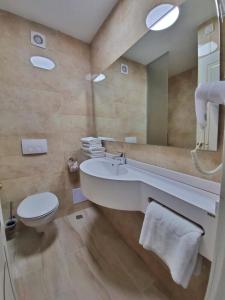 a bathroom with a sink and a toilet and a mirror at Hotel Terra in Neptun