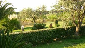 a hedge in a garden with trees and bushes at Agriturismo Isidoro in Fertilia