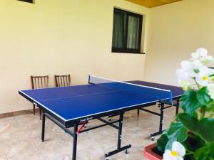 una mesa de ping pong azul en una habitación en Casa de vacanta Dana en Şugag