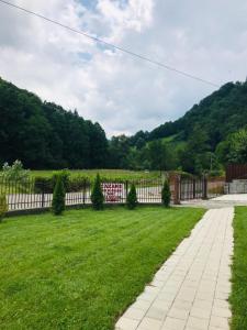 a fence in a yard with a green lawn at Casa de vacanta Dana in Şugag