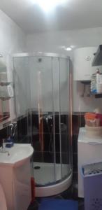 Kúpeľňa v ubytovaní Apartman Tamara + 37 fotografií