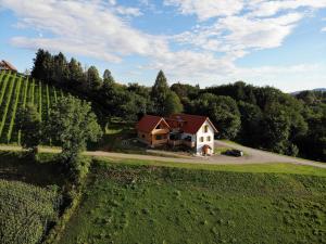 widok z powietrza na dom w środku pola w obiekcie Bauernhof Gschmeidler w mieście Sankt Johann im Saggautal