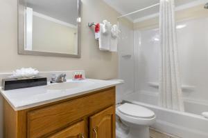 ein Badezimmer mit einem Waschbecken, einem WC und einer Badewanne in der Unterkunft Econo-Lodge of Conway in Conway