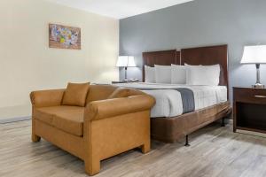 a bed and a chair in a hotel room at Econo-Lodge of Conway in Conway