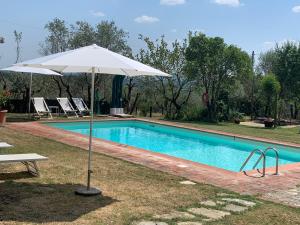 een witte parasol naast een zwembad bij B&B La Loccaia in Ciggiano