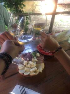 two people holding wine glasses and a plate of food at "Pivnica i smestaj Jovanovic"- Rogljevacke pivnice in Rogljevo