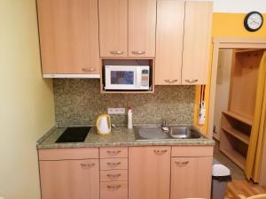 a kitchen with a sink and a microwave at Apartmán Na Horách in Deštné v Orlických horách