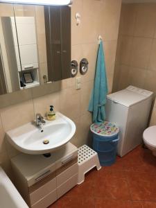 a bathroom with a sink and a toilet and a mirror at 2-Zimmer-Wohnung in Stralsunds Altstadt in Stralsund