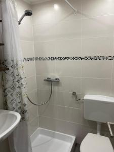 Ein Badezimmer in der Unterkunft Ossiach Apartment 1