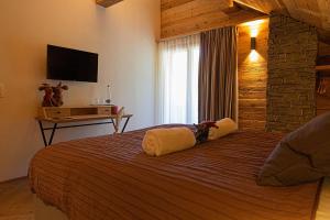 TV a/nebo společenská místnost v ubytování Le Vieux Chalet