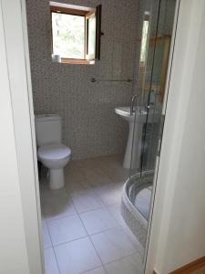 a bathroom with a toilet and a sink at Pensiunea Casa Transalpina in Şugag