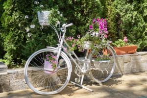 プリモルスコにあるHotel Sea Star Приморскоの鉢植えの白自転車
