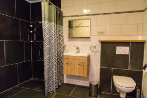 ein Bad mit einem WC, einem Waschbecken und einer Dusche in der Unterkunft Valkenhof Schimmert in Schimmert