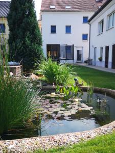Κήπος έξω από το Ferienwohnung am Wasserturm
