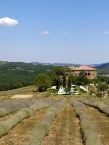 a field of crops with a building in the background at Locanda Cugnanello in Anqua