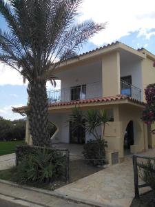 a house with a palm tree in front of it at Villa Orsola in Villaputzu