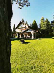 una casa in un campo di erba verde di Guest House Colovic a Zlatibor Altre 37 foto