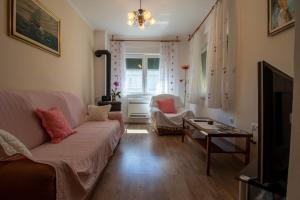TV a/nebo společenská místnost v ubytování Apartman Ivan