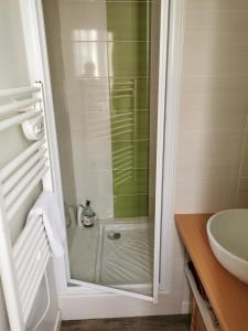 La salle de bains est pourvue d'une douche et d'un lavabo. dans l'établissement Studio des Stuarts, à Dol-de-Bretagne