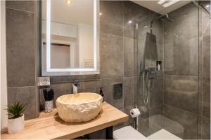 沙特尔Cocon à Bulles Chic vue Cathédrale avec Spa-jacuzzi的带水槽和淋浴的浴室