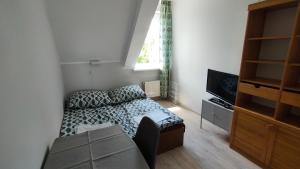 a small room with a bed and a television at Pokoje blisko morza przy promenadzie in Kołobrzeg