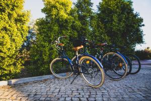 Vožnja bicikla kod ili u okolini objekta Vila Fuzeta Bed & Breakfast
