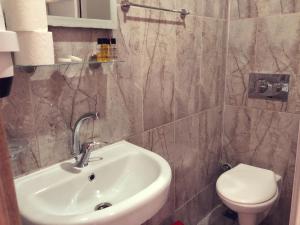 a bathroom with a sink and a toilet at Dove Apart Hotel in Fethiye