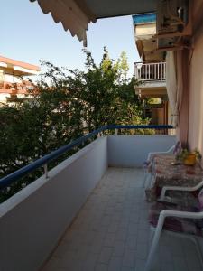 Fotografie z fotogalerie ubytování Hotel Eleni v destinaci Paralia Dionysiou + 49 fotografií