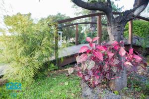 ボスコレアーレにあるTorremerlata B&Bの木の横に紅葉した茂み