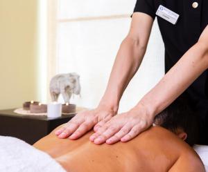 Спа и/или другие оздоровительные услуги в Hotel Spa Galatea