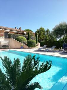 a swimming pool with a palm tree in front of a house at L’Antre d’Eux in Carcassonne
