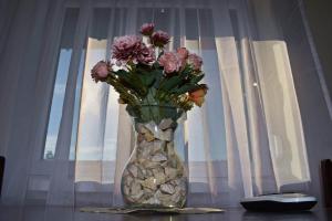 Fotografie z fotogalerie ubytování Napfény Apartman v destinaci Makó