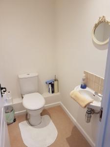 a bathroom with a toilet and a sink at Binfield Annexe in Bracknell