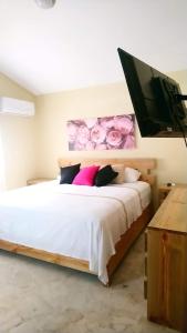 a bedroom with a bed with a tv on the wall at Verde Bonavita in Santiago de los Caballeros