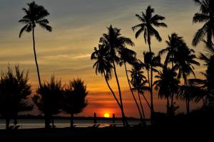 a group of palm trees on a beach at sunset at The Residence Zanzibar in Kizimkazi